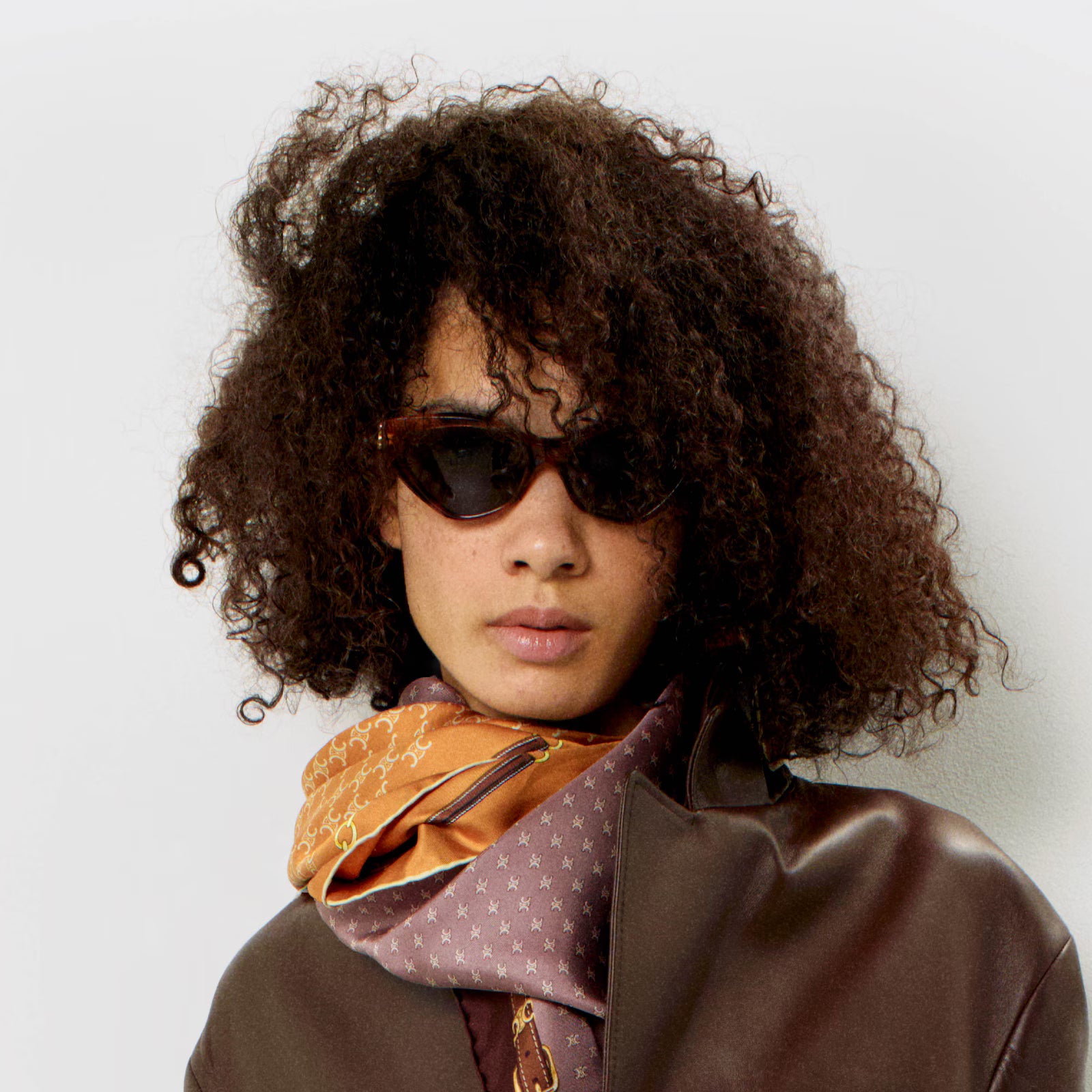 celine triomphe 17 sunglasses in acetate