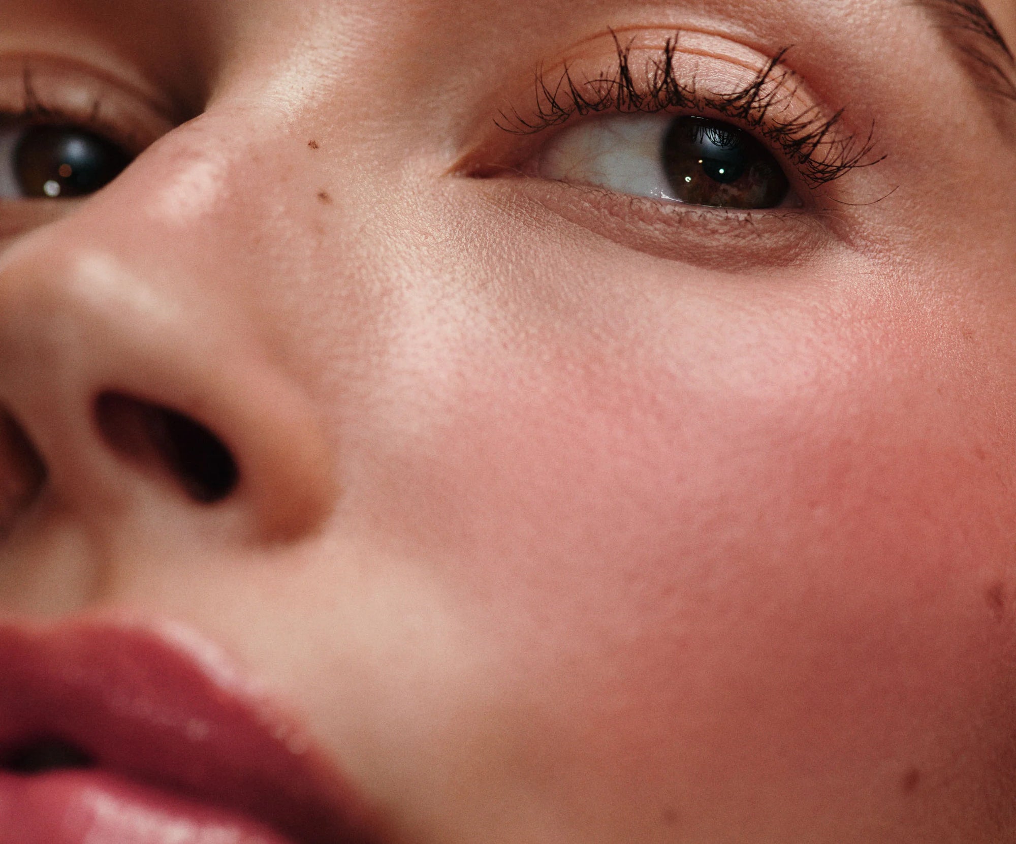 rhode pocket blush - freckle
