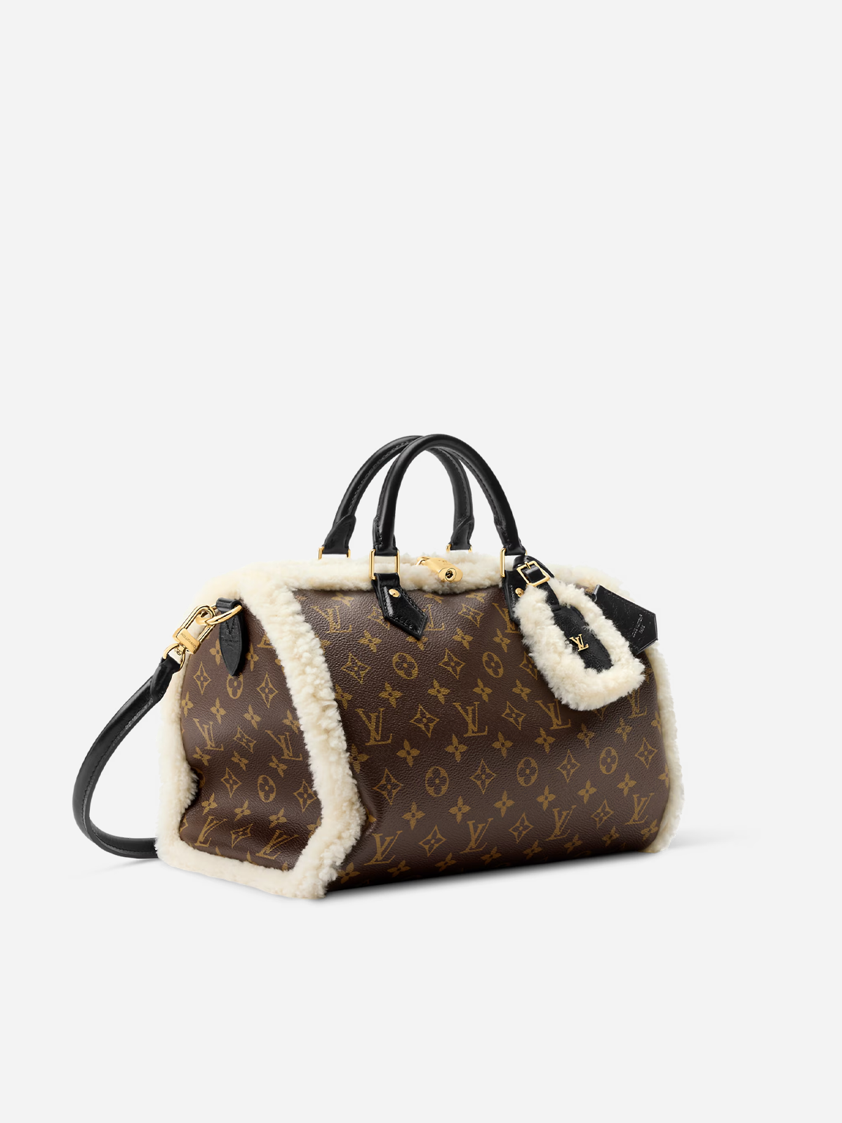 LOUIS VUITTON Speedy Soft 30 Teddy